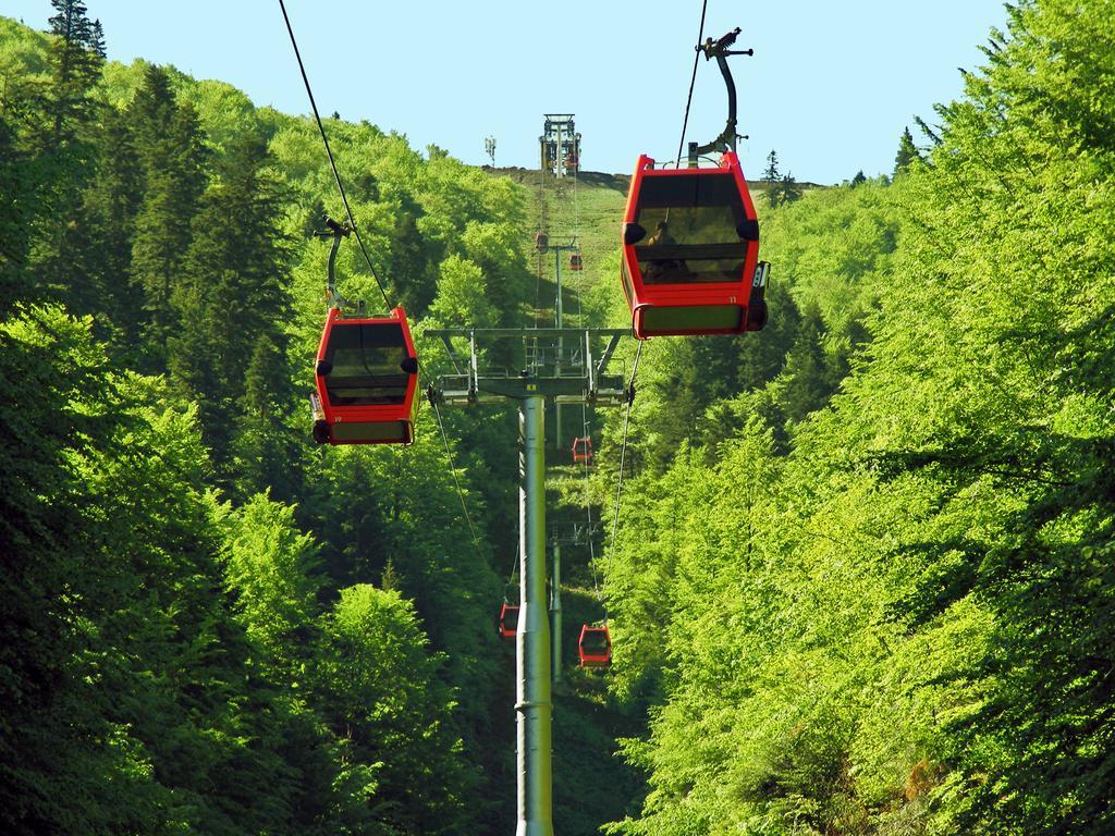 Azuga Ski & Bike Resort Dış mekan fotoğraf